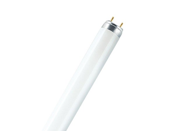 Tube fluorescent T8/G13, OSRAM, 36W = 3350Lm 4000K