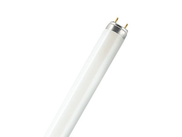 Tube fluorescent droit G13, OSRAM, 5200 lm = 58 W blanc