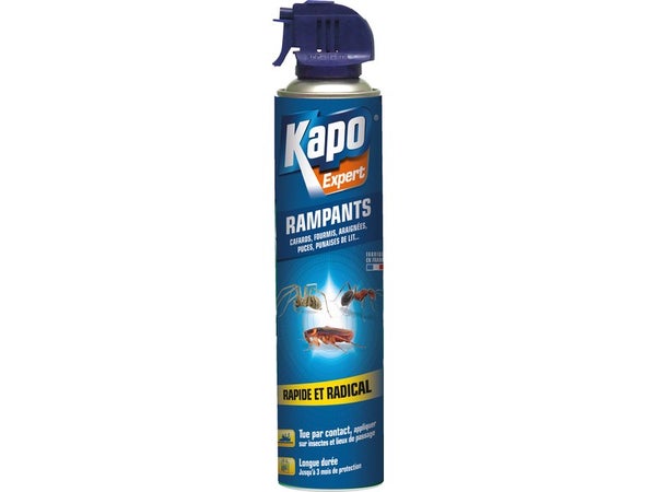 Insecticide aérosol insectes rampants Kapo, 400 ml