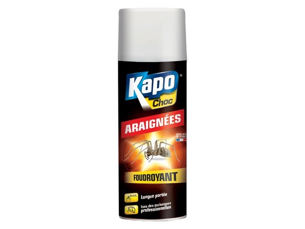 Bombe insecticide aérosol pour tous insectes rampants, KAPO EXPERT, 400 ml