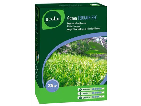 Gazon Terrain Sec Geolia, 1 Kg, 35 M²