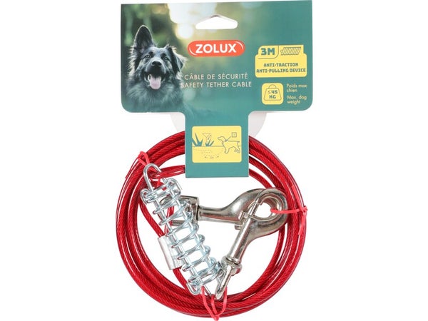Câble de securite chien avec ressort 3 m