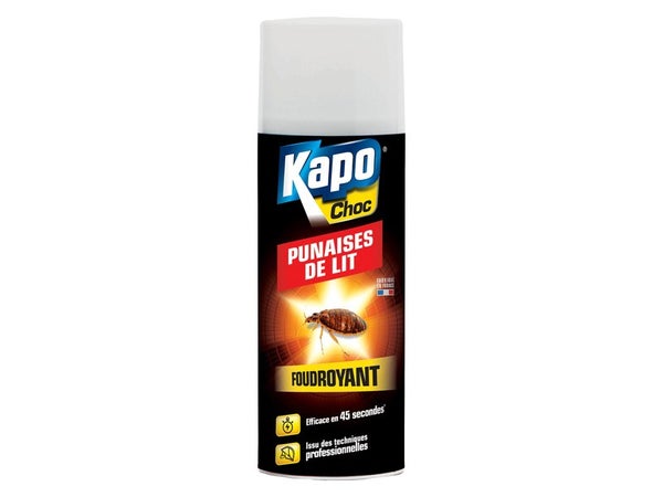 Bombe insecticide aérosol pour punaise de lit, KAPO, 400 ml