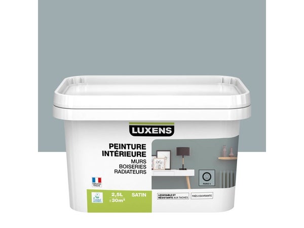 Peinture, Mur, Boiserie, Radiateur, Multisupports Luxens, Paris 5, Satiné, 2.5 L