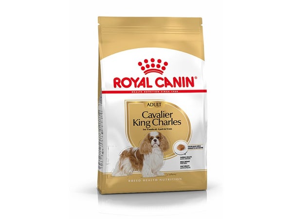 Royal Canin Alimentation Chien Cavkingchar Adlt 3Kg