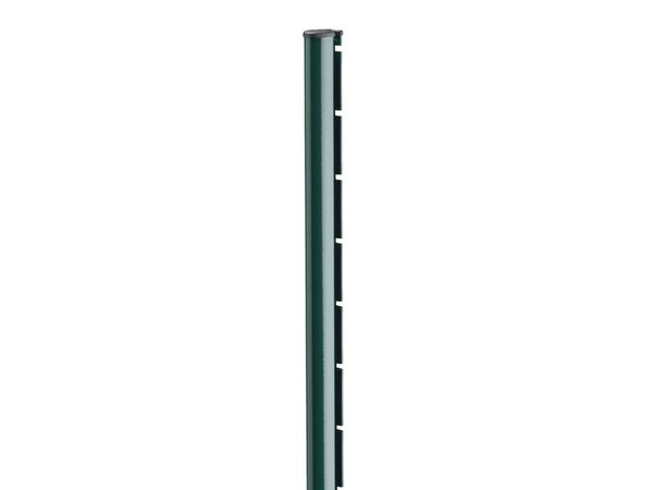 Poteau À Encoche Axor Vert, H.120 X P.6.8 Cm