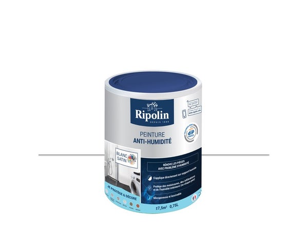 Peinture Antihumidité Rip Etanch, Ripolin Blanc 0.75 L