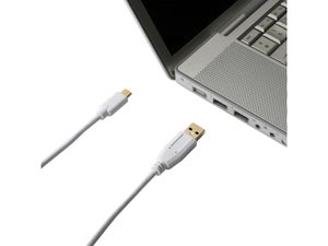 Câble Chargeur Usb Type C, 2 M Blanc Evology