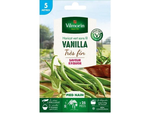 Graine haricot vanilla VILMORIN 22 g