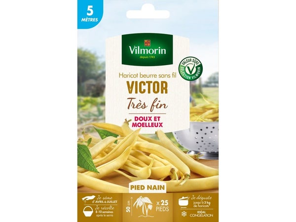 Graine haricot victor VILMORIN 30 g