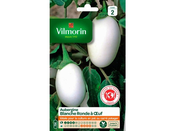 Graine potager Aubergine blanche ronde à œuf VILMORIN