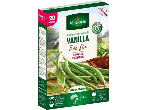 Graine haricot vanilla VILMORIN 89 g