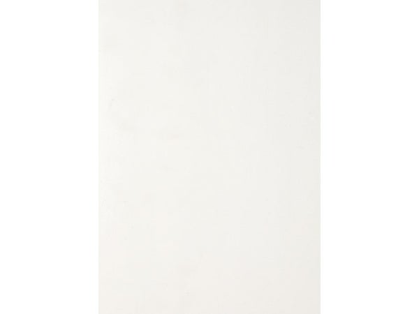 Lambris pvc blanc L.400 X L.25 cm X Ep.10 mm