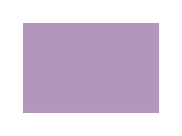 Peinture Personnalisee Interieure Violet Orchid 5 Luxens Mat 5L