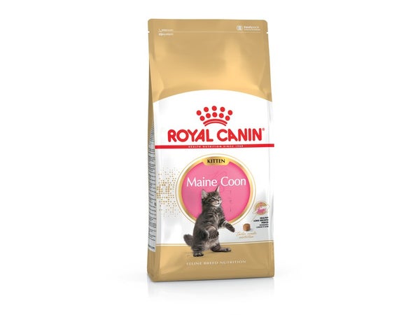 Royal Canin Chat Maine Coon Kitten 2Kg