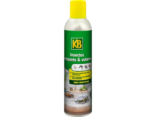 Aérosol anti-insectes volants et rampants, KB, 300 ml