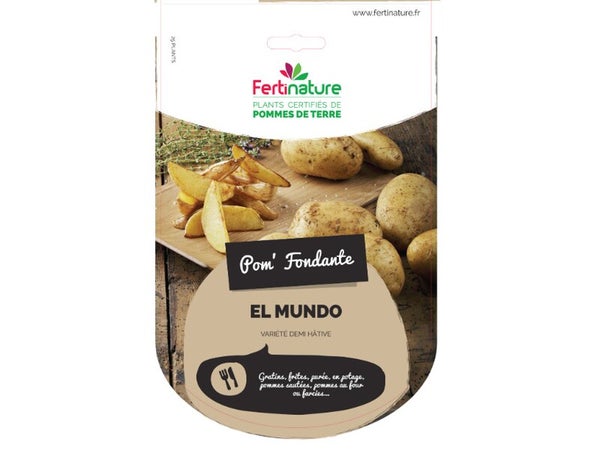 Bulbe et plant de pommes de terre El Mundo 28/35 chromo, 25 plants