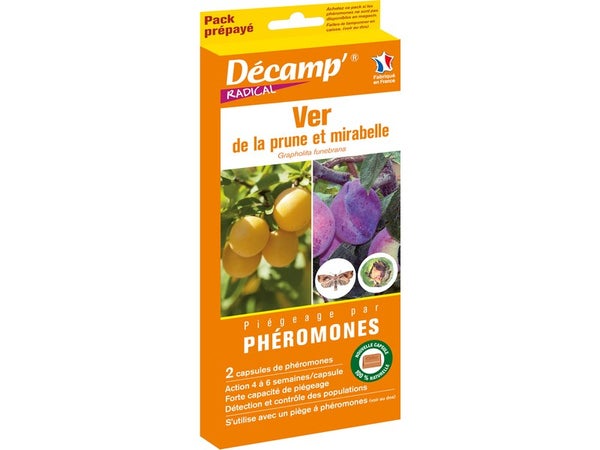 Traitement des insectes ver de la prune DECAMP', 1 piège à phéromones