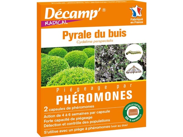 Traitement des insectes chenille pyrale du buis DECAMP', 1 piège à phéromones