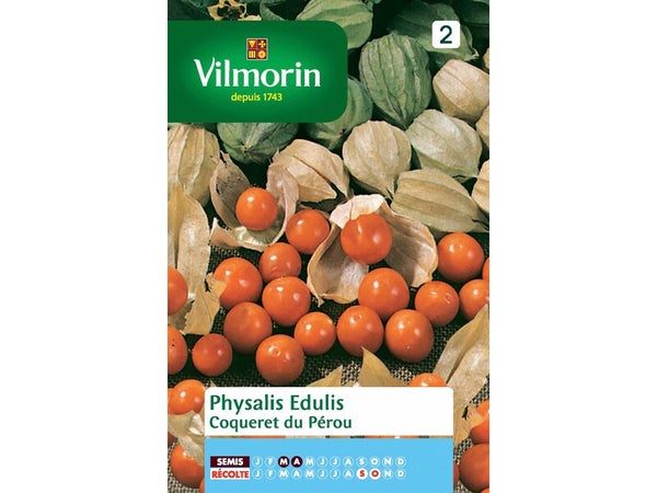 Sachet de graines Physalis edulis VILMORIN 0.6 g