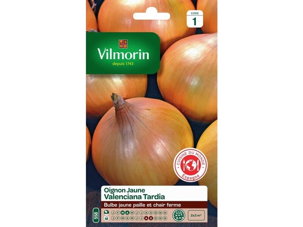 Graines de potager oignon valenciana tardia VILMORIN 5 g