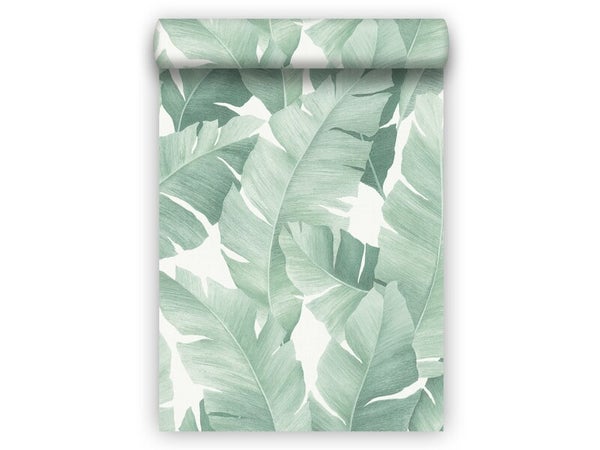 Papier peint vinyle intisse motif botanical vert