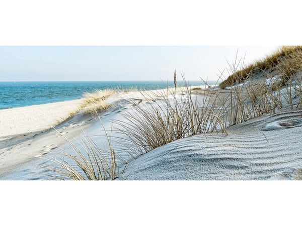 Plexiglass imprimé Dune et Mer, CEANOTHE l.145 x H.65 cm