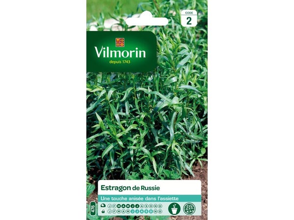 Graines aromatique estragon de russie VILMORIN 0.5 g