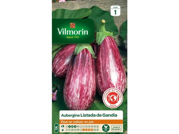 Graines de potager aubergine listada gandia VILMORIN 0.4 g