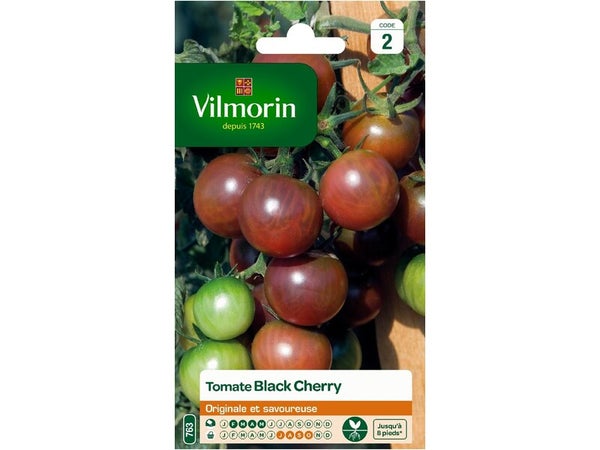 Graines de potager tomate black cherry VILMORIN 0.1 g