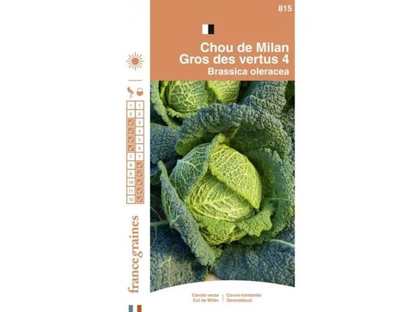 France Graines - Chou Gros des Vertus 2g