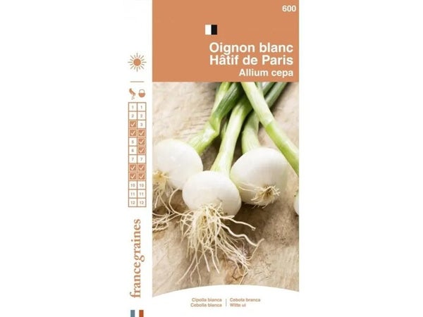 France Graines - Oignon Blanc Hatif de Paris 3g
