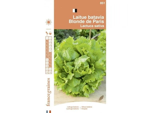 France Graines - Laitue Batavia Blonde de Paris 3g
