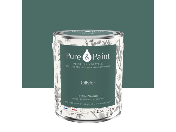 Peinture olivier mur, plafond et boiserie , PURE  PAINT velours 2.5 l