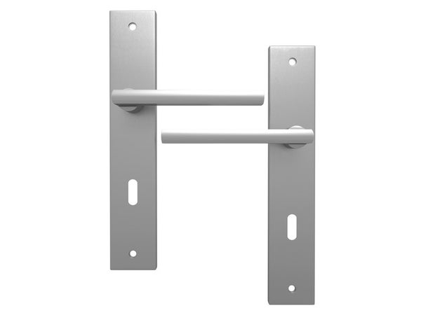Ensemble de porte, trou de clé INSPIRE, aluminium nickel satiné, entraxe 195 mm