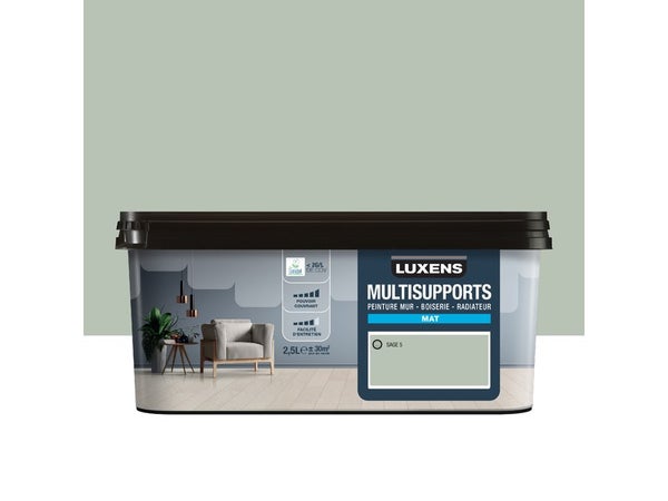 Peinture mat mur, boiserie et radiateur, LUXENS Sage 5, vert, 2.5 litres