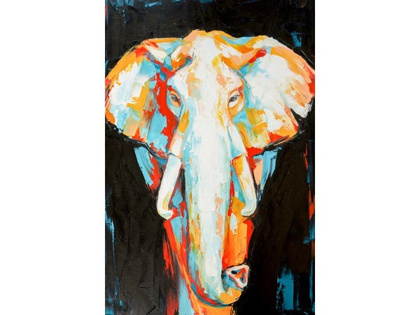 Toile imprimée Eléphant Coloré, CEANOTHE l.65 x H.97 cm multicouleur