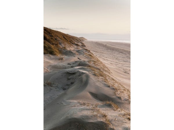 Toile imprimée Dune, CEANOTHE, l.45 x H.65 cm multicouleur