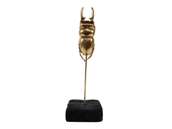 Objet décoratif résine l.8 x H.26 cm, scarabée
