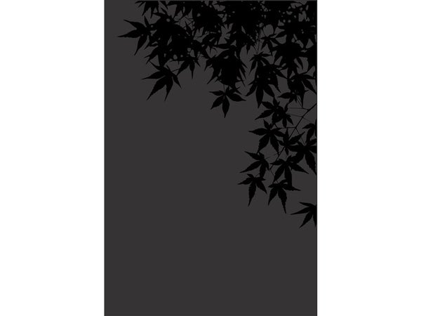 Plaque de protection murale noir givré DIXNEUF 0271076982n3, l.81 cm x H.120 cm
