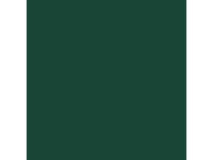 Peinture aérosol Color touch DULUX VALENTINE vert basque RAL 6005 brill 0.4l