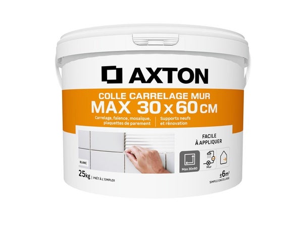 Colle en pâte mur plan de travaiL intérieur, AXTON, 25 kg blanc