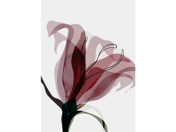 Toile imprimée Fleur abstraite, CEANOTHE 30 x 45 cm
