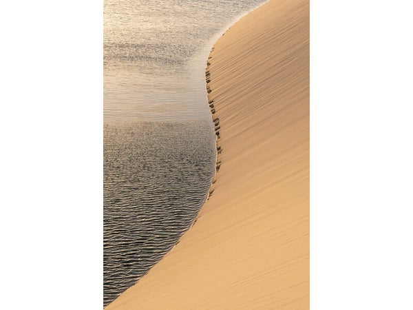Toile imprimée Dunes de Sable, CEANOTHE 65 x 97 cm