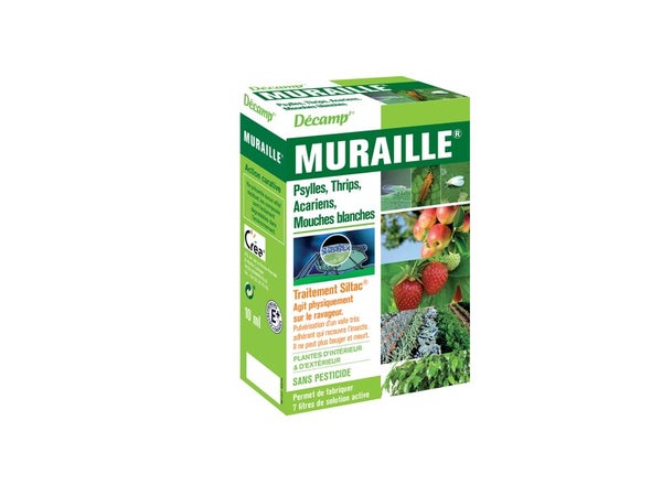 Muraille psylles thrips mouches acariens