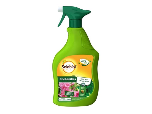 Traitement insectes pucerons SOLABIOL, pour arbres, arbustes, rosiers 750ML