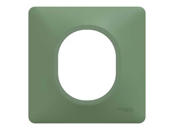 Plaque simple Ovalis, SCHNEIDER ELECTRIC, vert foret