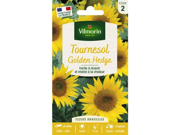 Golden hedge VILMORIN 1.5 g