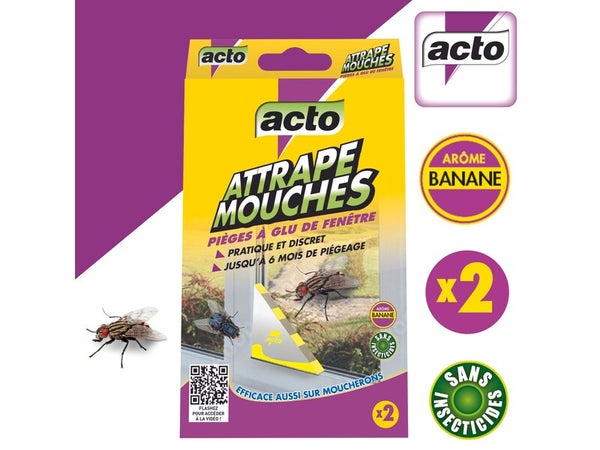  Attrape mouches pièges à glu de fenêtre