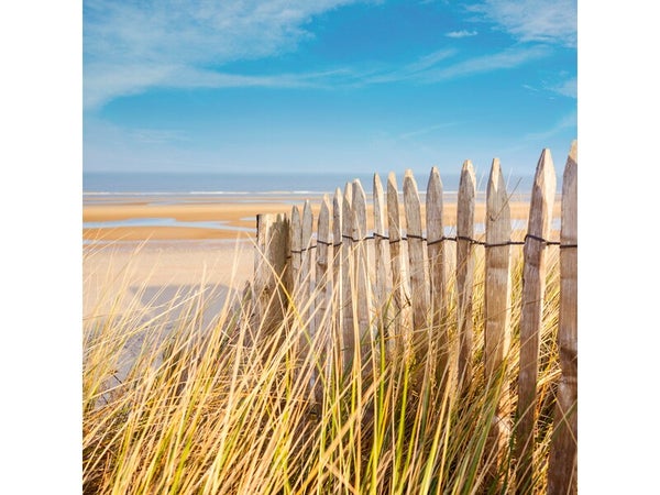 Toile imprimée Bord de mer, CEANOTHE 45 x 45 cm